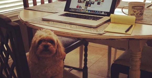 completelycarolinewhyiblog