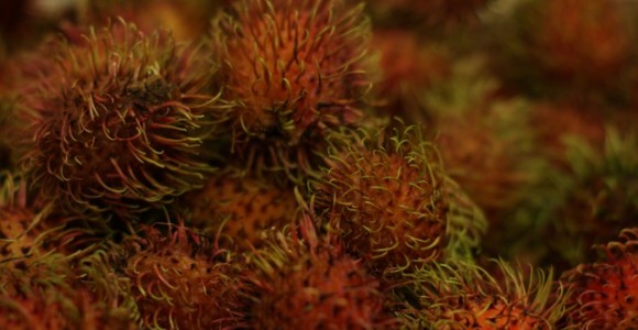 weird fruit