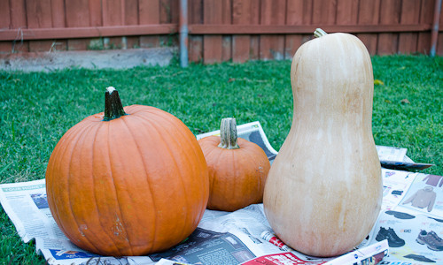 pumpkins before