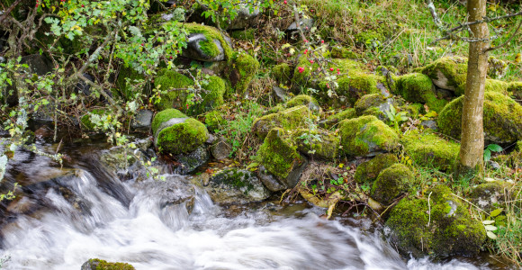 rushing waters